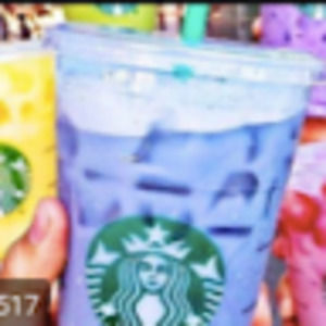 Meet your Posher, Lilli